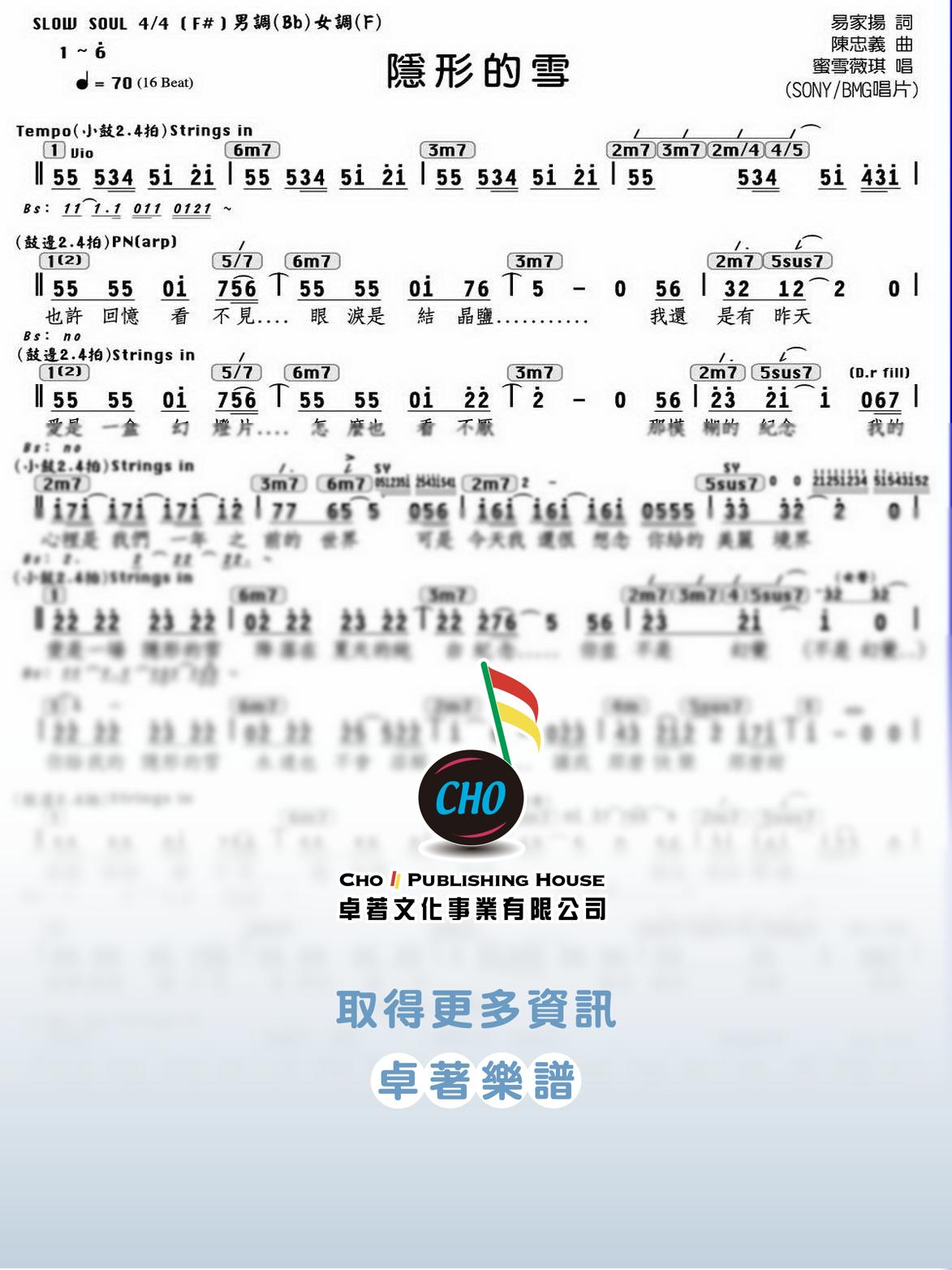 隱形的雪